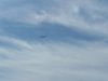 100_5776.JPG
