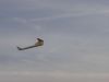 DSC07144.JPG