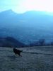 DSC07161.JPG