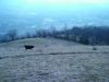 DSC07166.JPG