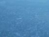 DSC07170.JPG