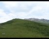 100_5017.JPG