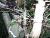 100_5714.JPG