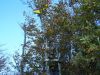 100_5720.JPG